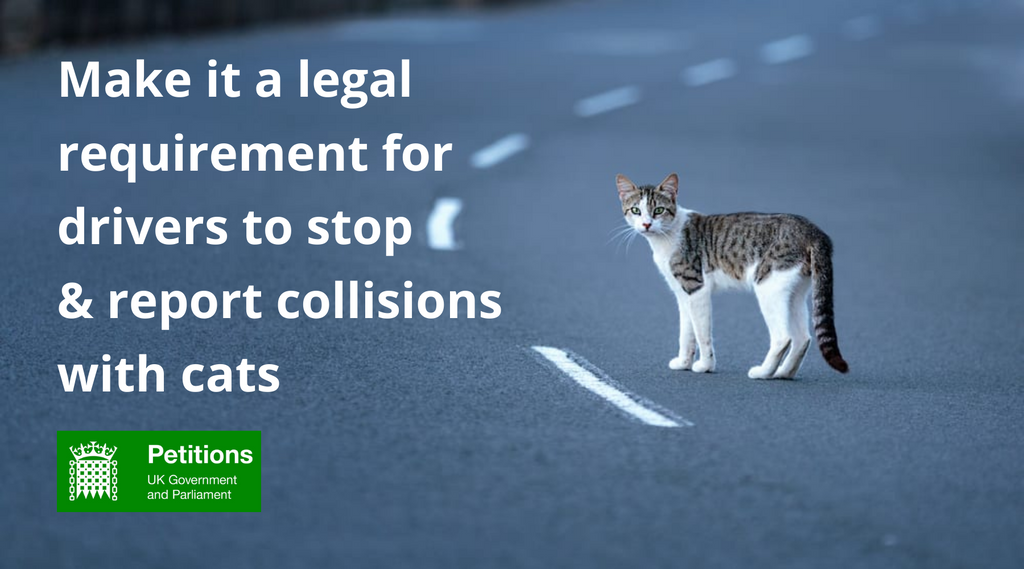 UK Gov. Petition to ensure drivers report collisions with cats